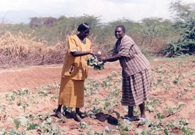 Familienhilfe / Mikrokredite: Landwirtschaftsprojekt in Kenia