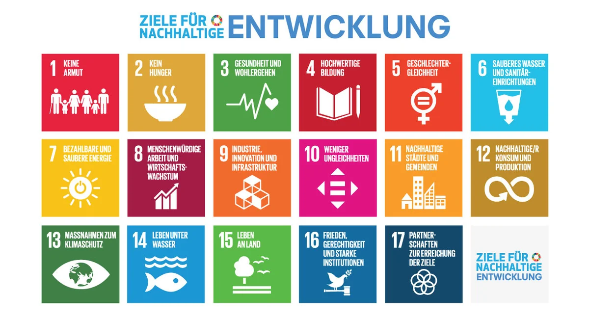 SDG Icons SDG Icons