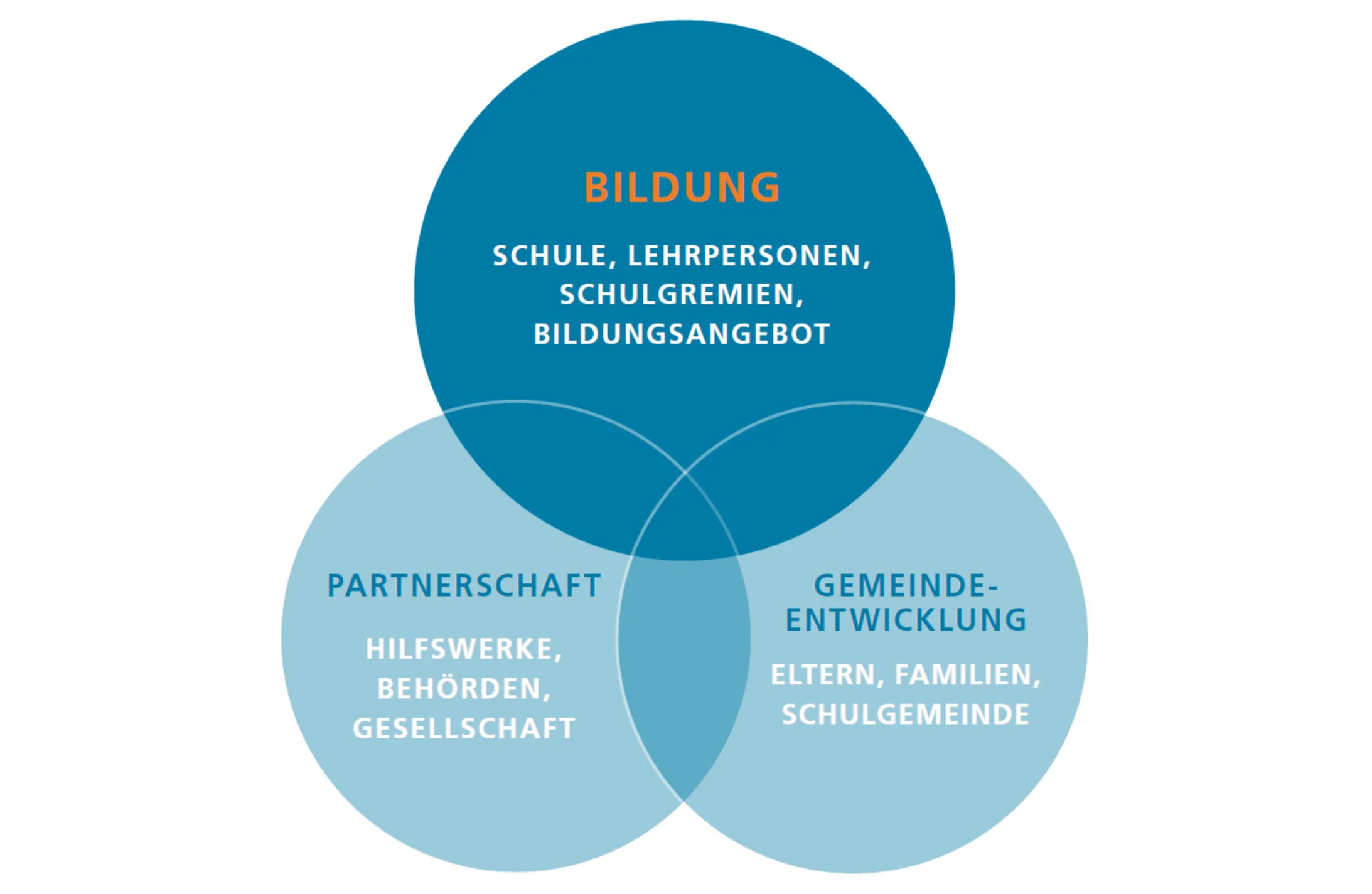 Diagram Bildung-Entwicklung Diagram Bildung-Entwicklung