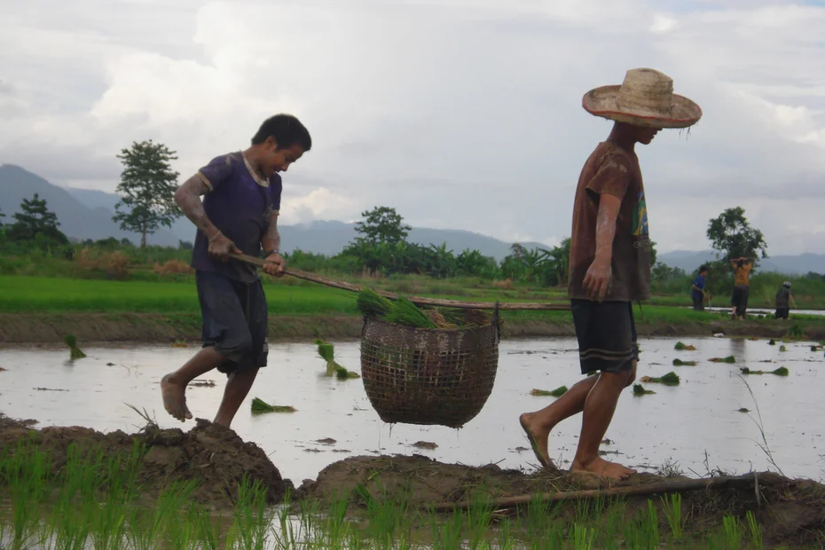 Thailand Kinderarbeit