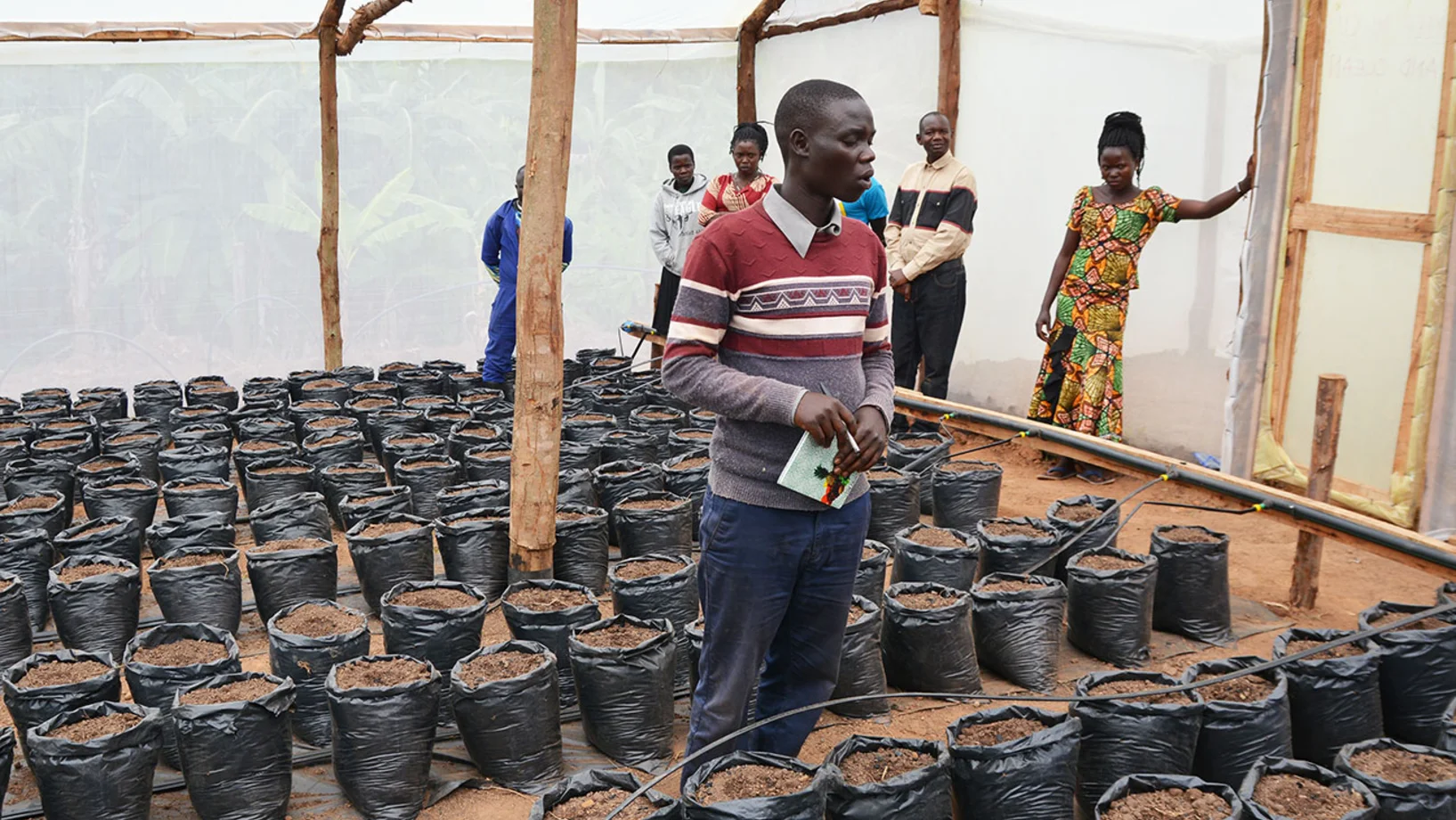 Uganda Gewächshaus