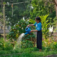 Laos